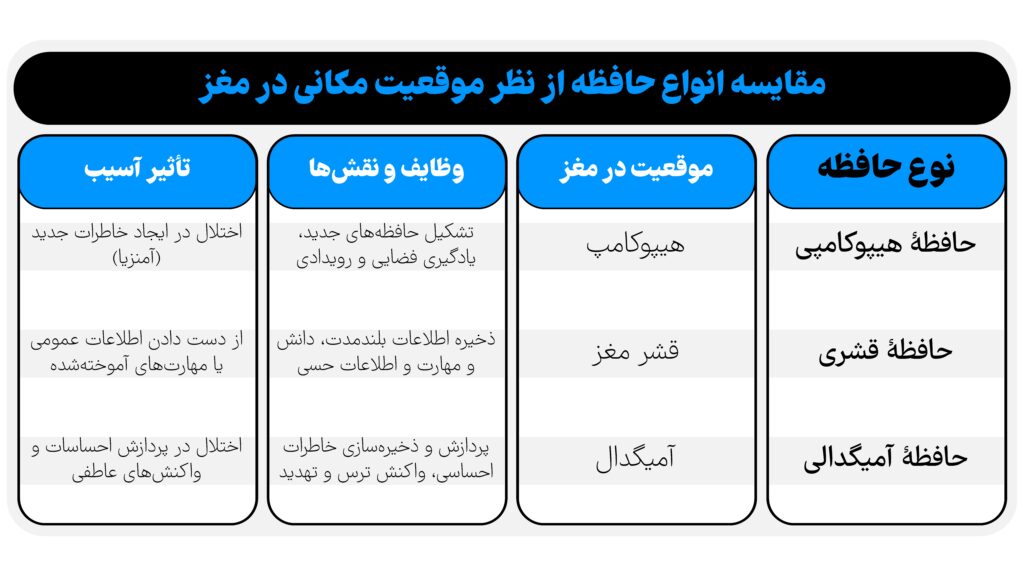 مقایسه انواع حافظه از نظر موقعیت مکانی در مغز